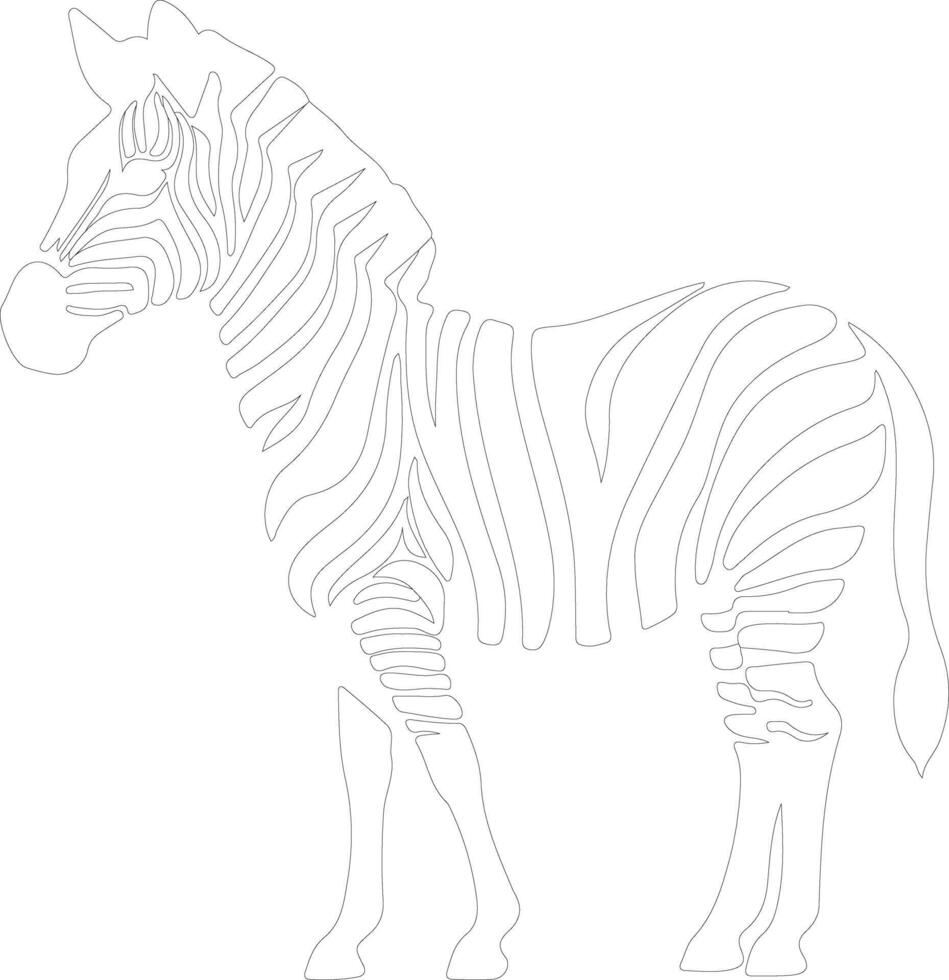 zebra  outline silhouette vector