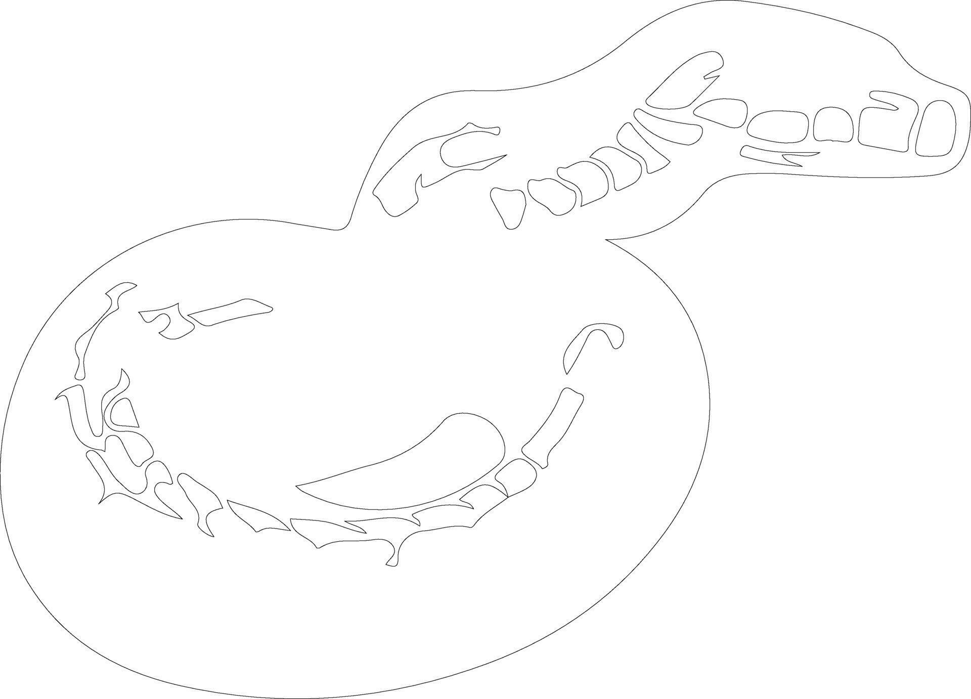 python outline silhouette 38495316 Vector Art at Vecteezy