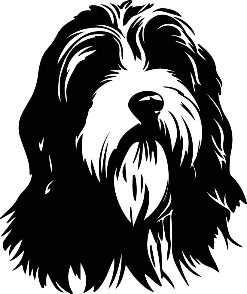 barbado collie negro silueta vector