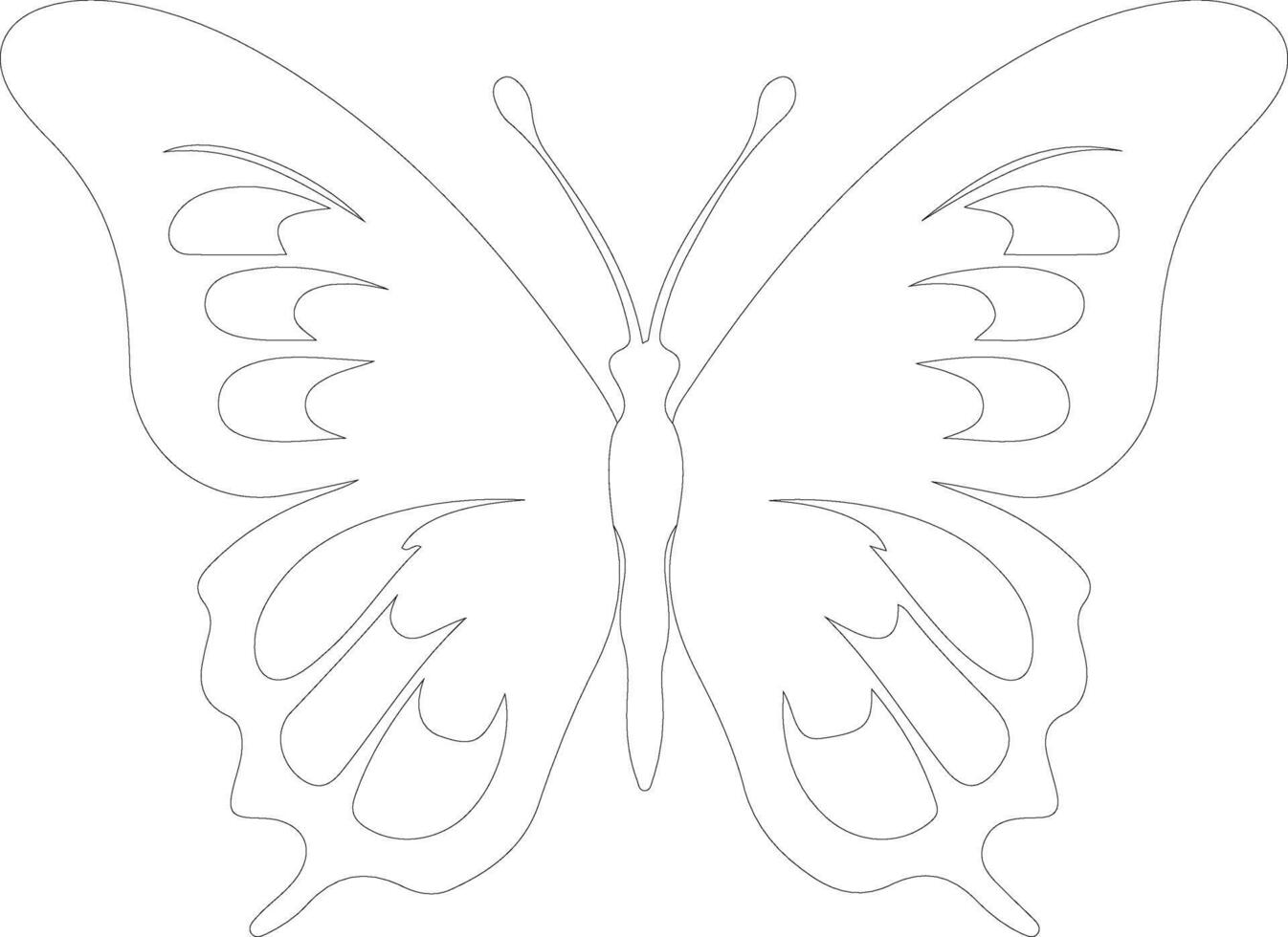 morpho butterfly  outline silhouette vector
