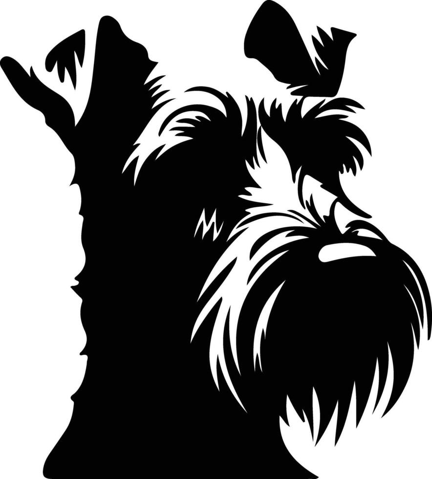 Standard Schnauzer  silhouette portrait vector