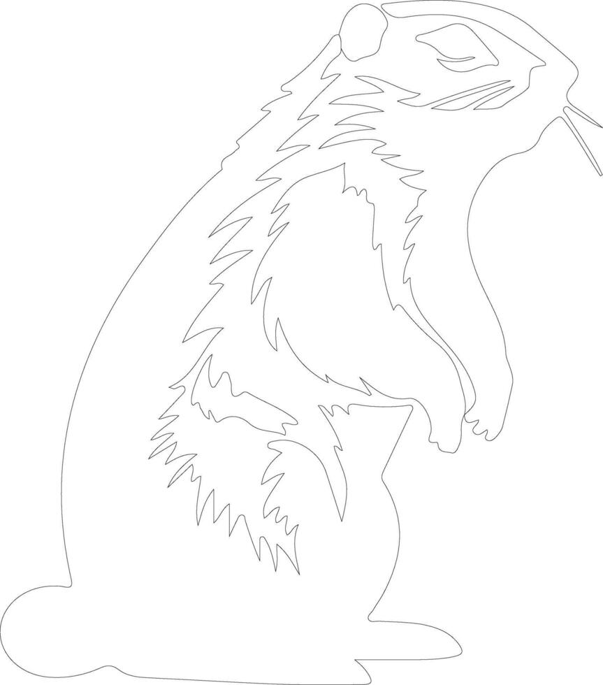 woodchuck  outline silhouette vector