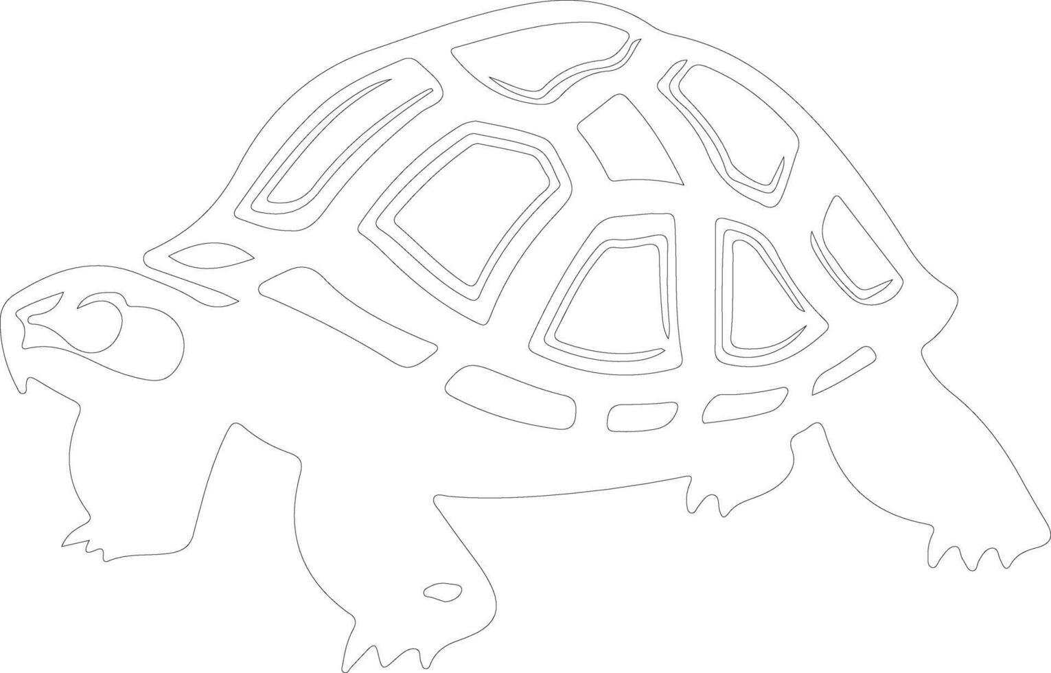 ploughshare tortoise   outline silhouette vector