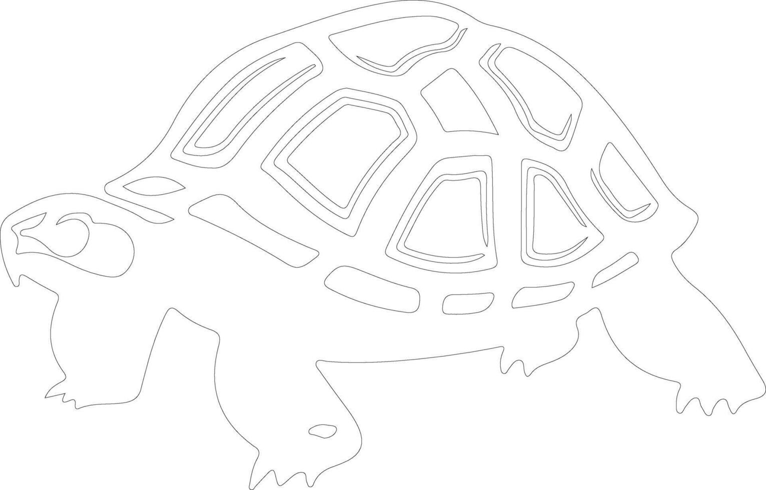 reja del arado tortuga contorno silueta vector