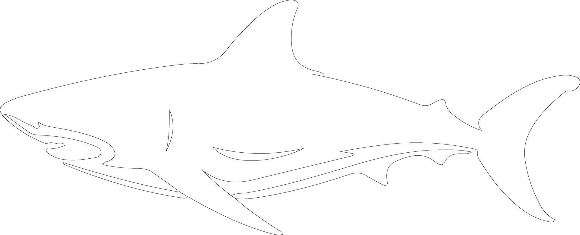 luminoso tiburón contorno silueta vector
