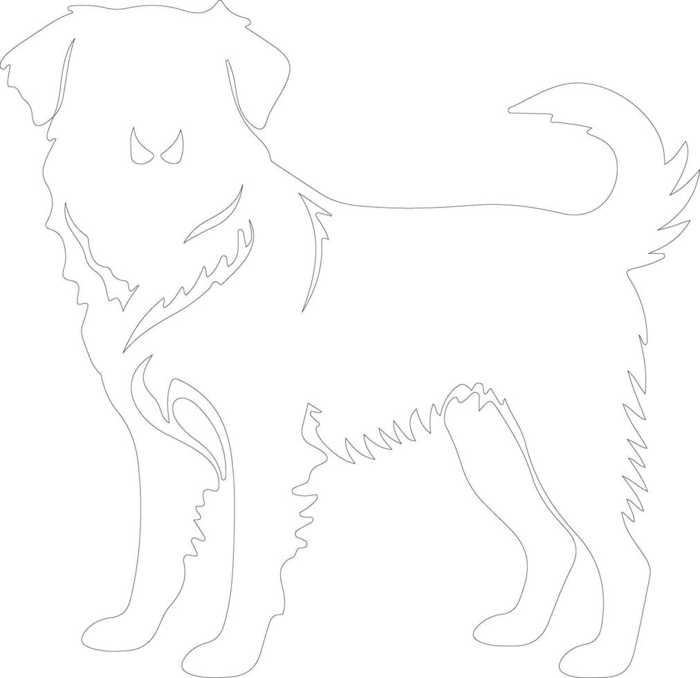 Nova Scotia Duck Tolling Retriever  outline silhouette vector