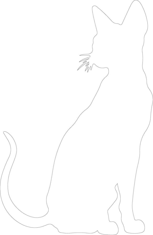 Peterbald Cat outline silhouette vector