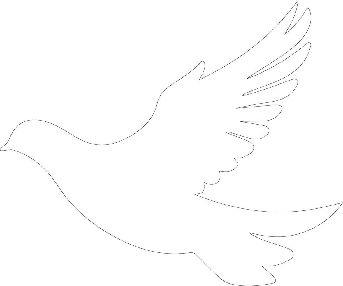 white dove  outline silhouette vector