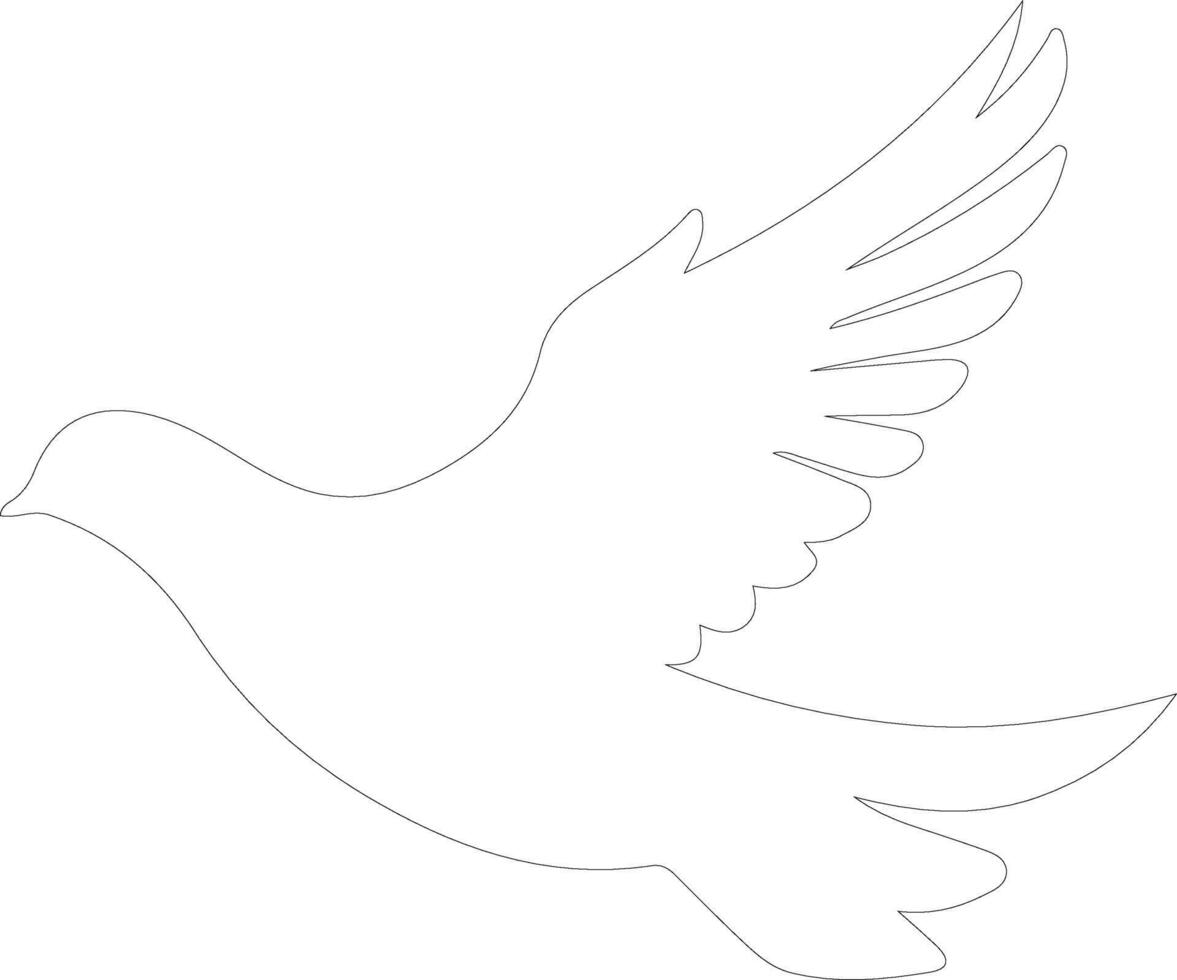 white dove  outline silhouette vector