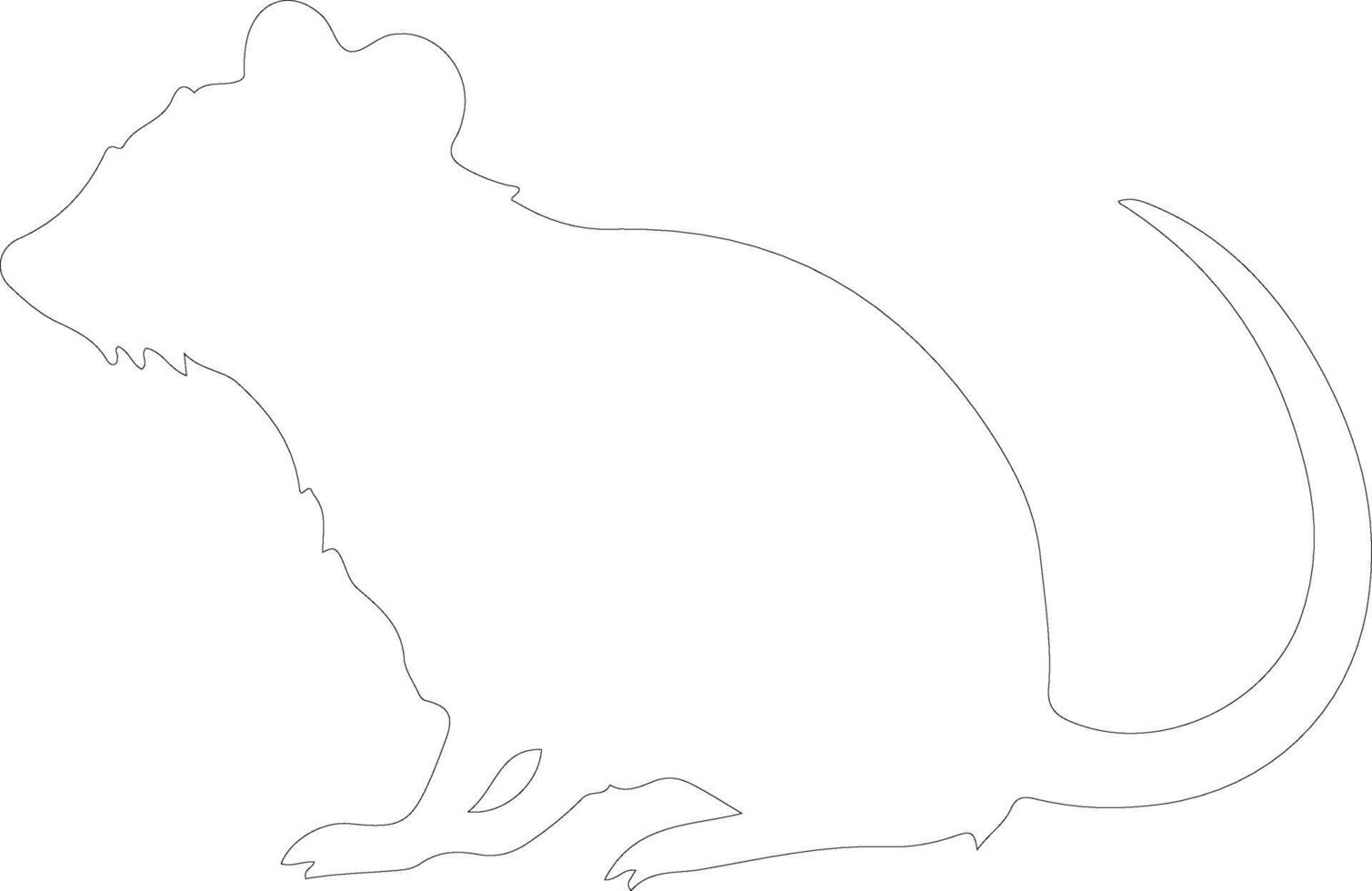 bandicoot  outline silhouette vector