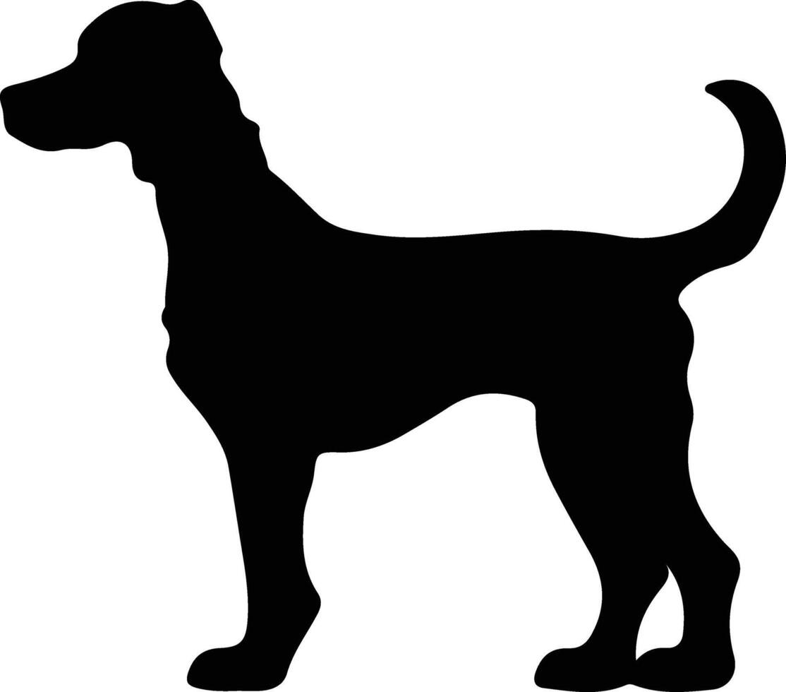 Bedlington Terrier    black silhouette vector