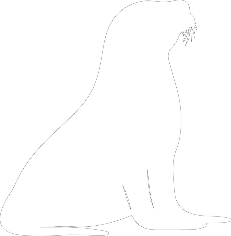 Californiasealion outline silhouette vector