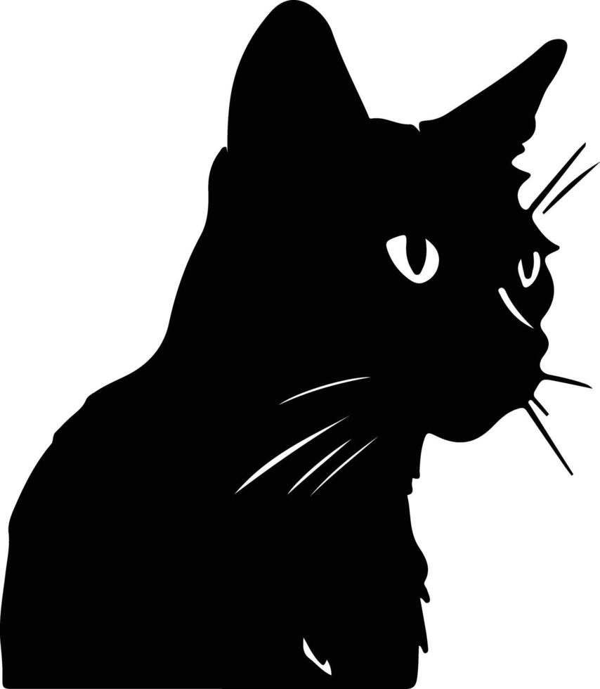 brasileño cabello corto gato silueta retrato vector