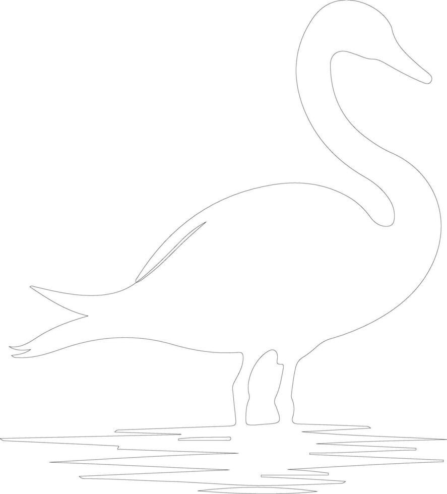 trumpeter swan   outline silhouette vector