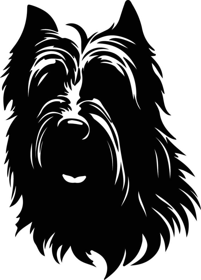Briard  silhouette portrait vector