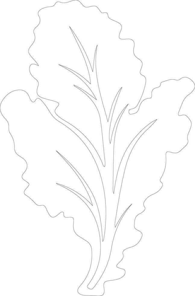 chard  outline silhouette vector