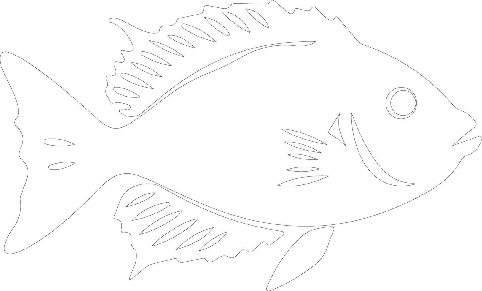 John Dory  outline silhouette vector