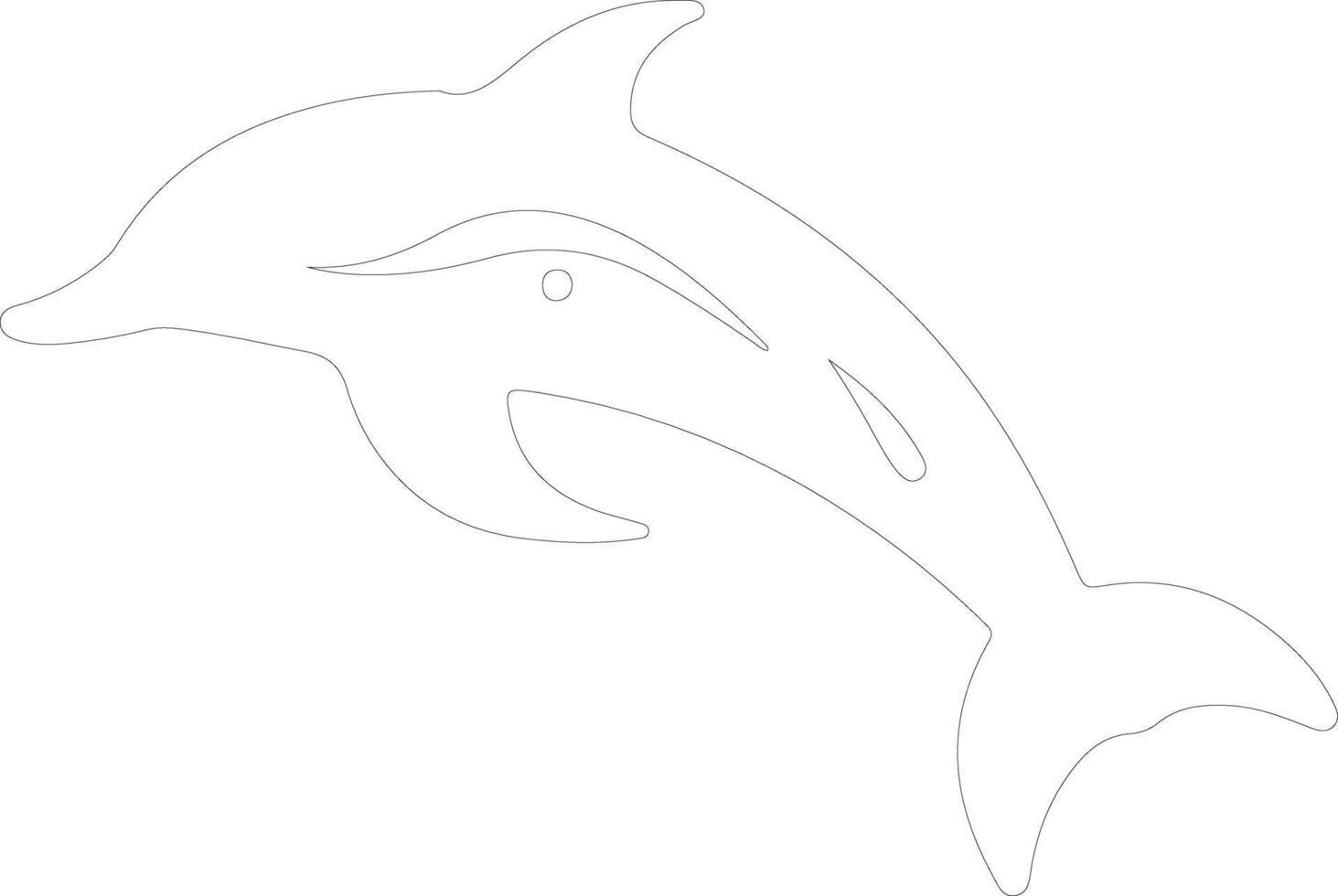 white-spotted dolphin  outline silhouette vector