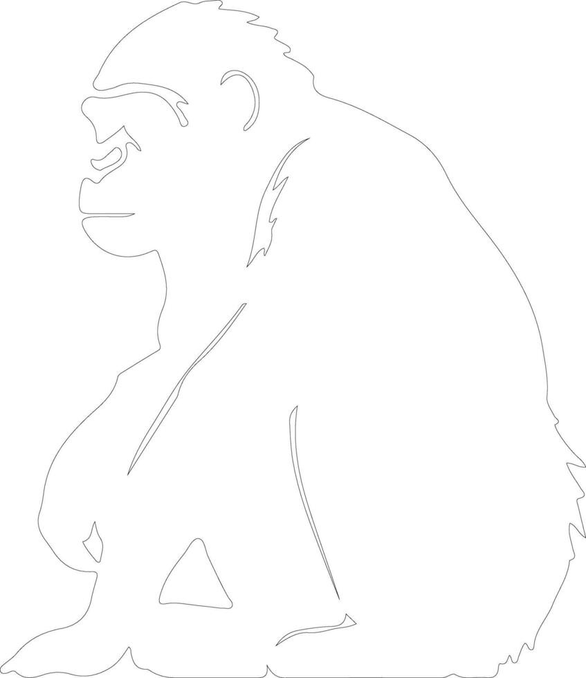 bonobo outline silhouette vector