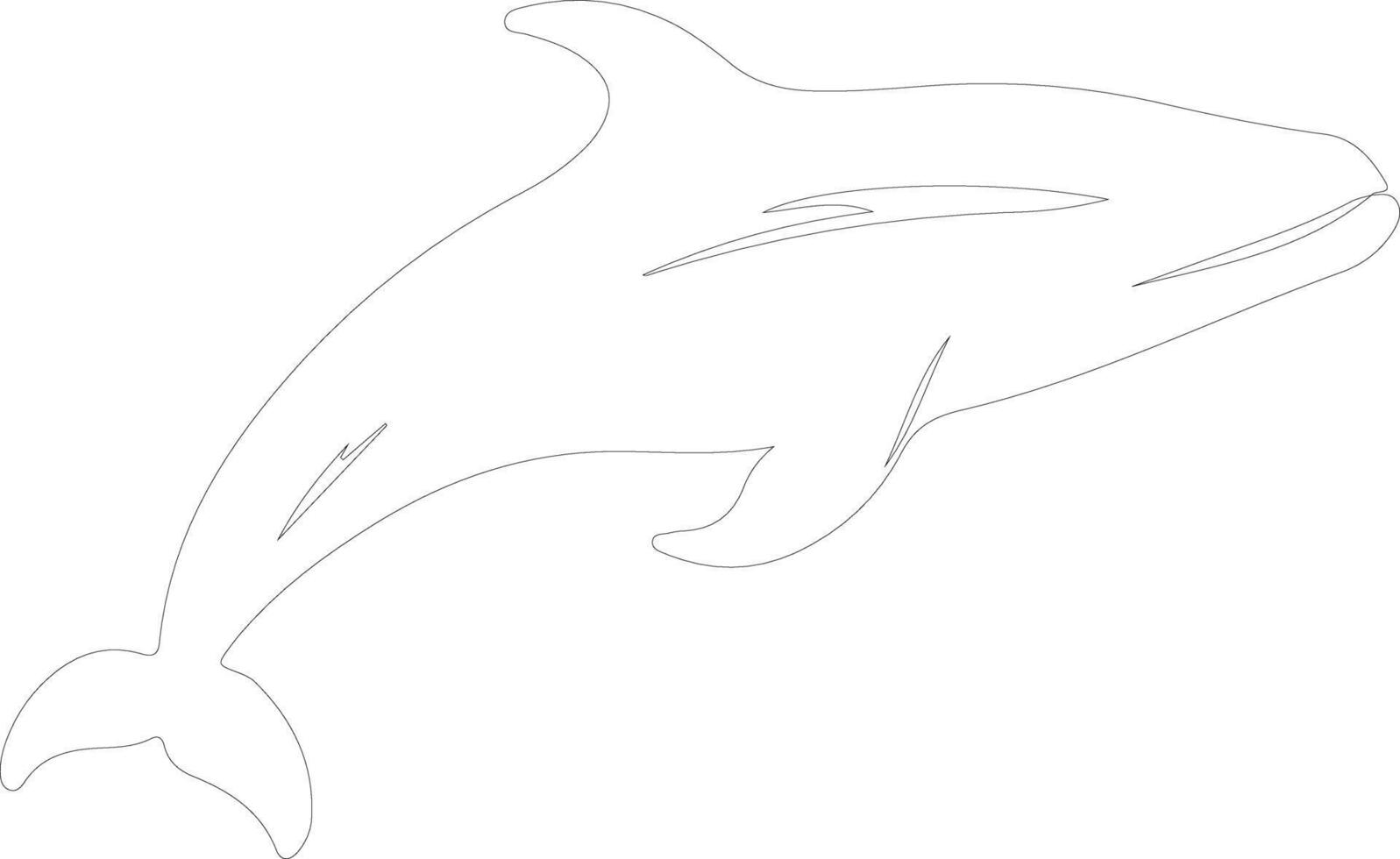 northern right whale  outline silhouette vector