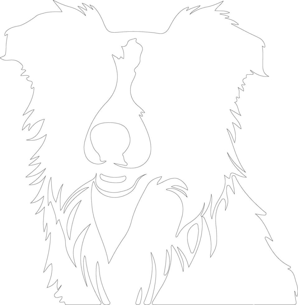 bordercollie outline silhouette vector