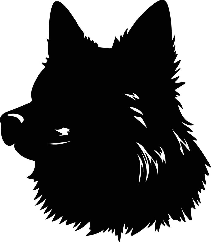 Schipperke  silhouette portrait vector