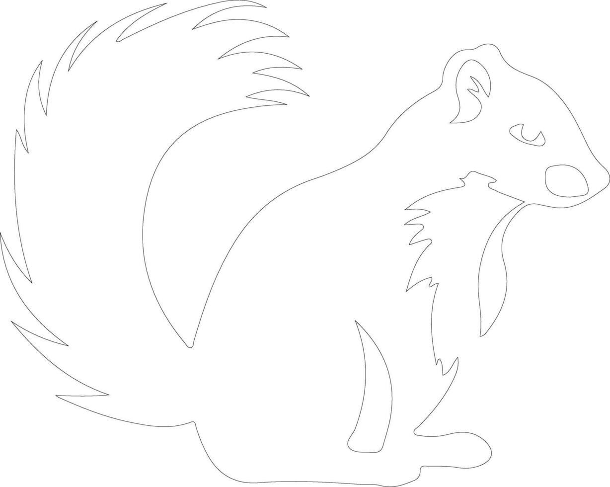 skunk outline silhouette vector