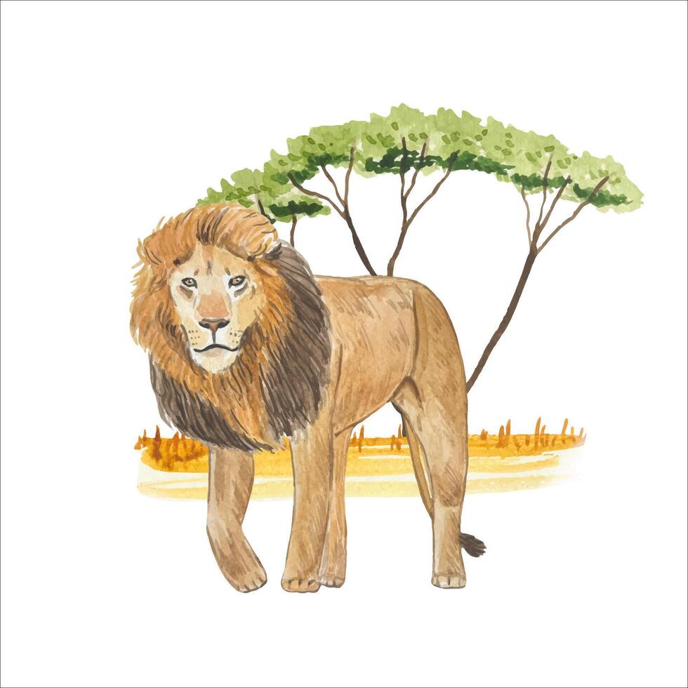 Watercolor composition with lion in savannah. Tropical design. vector