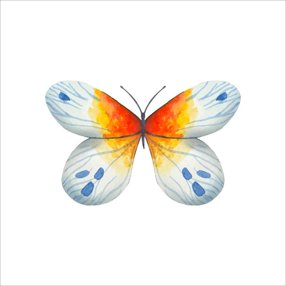 Hand drawn abstract butterfly in blue,red tones vector