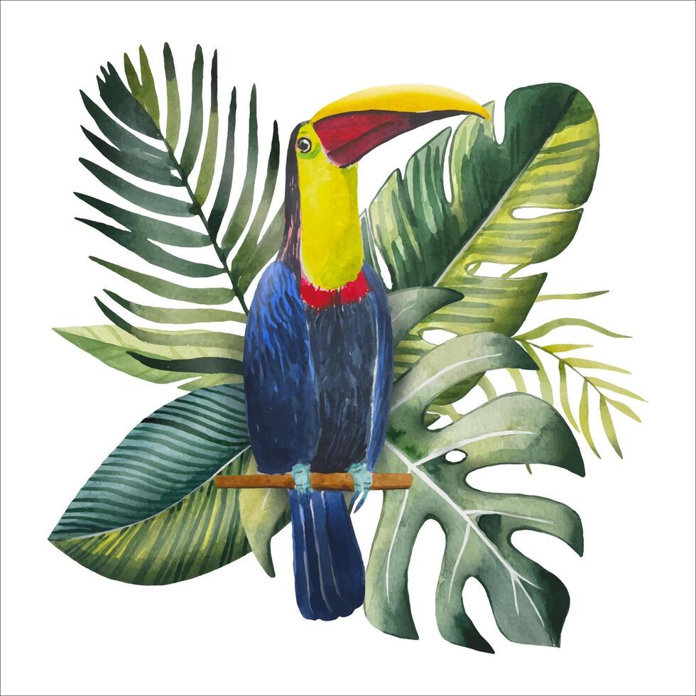 Hand drawn toucan with tropical leaves, watercolor vector