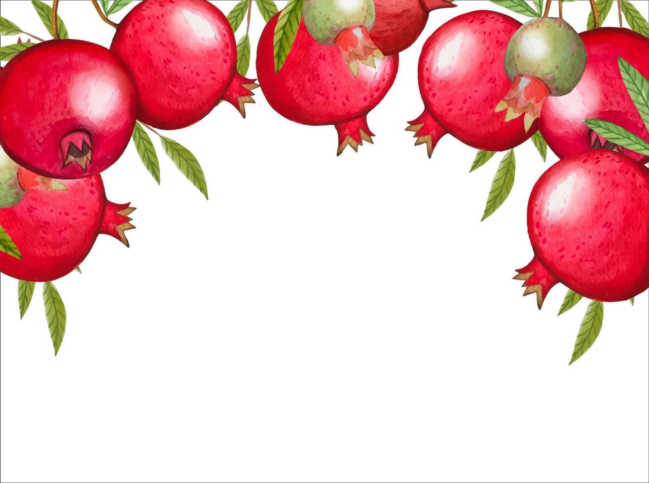 Hand drawn frame with ripe pomegranates vector