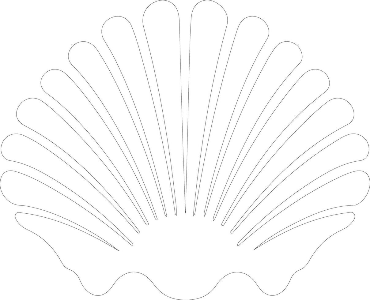 scallop   outline silhouette vector