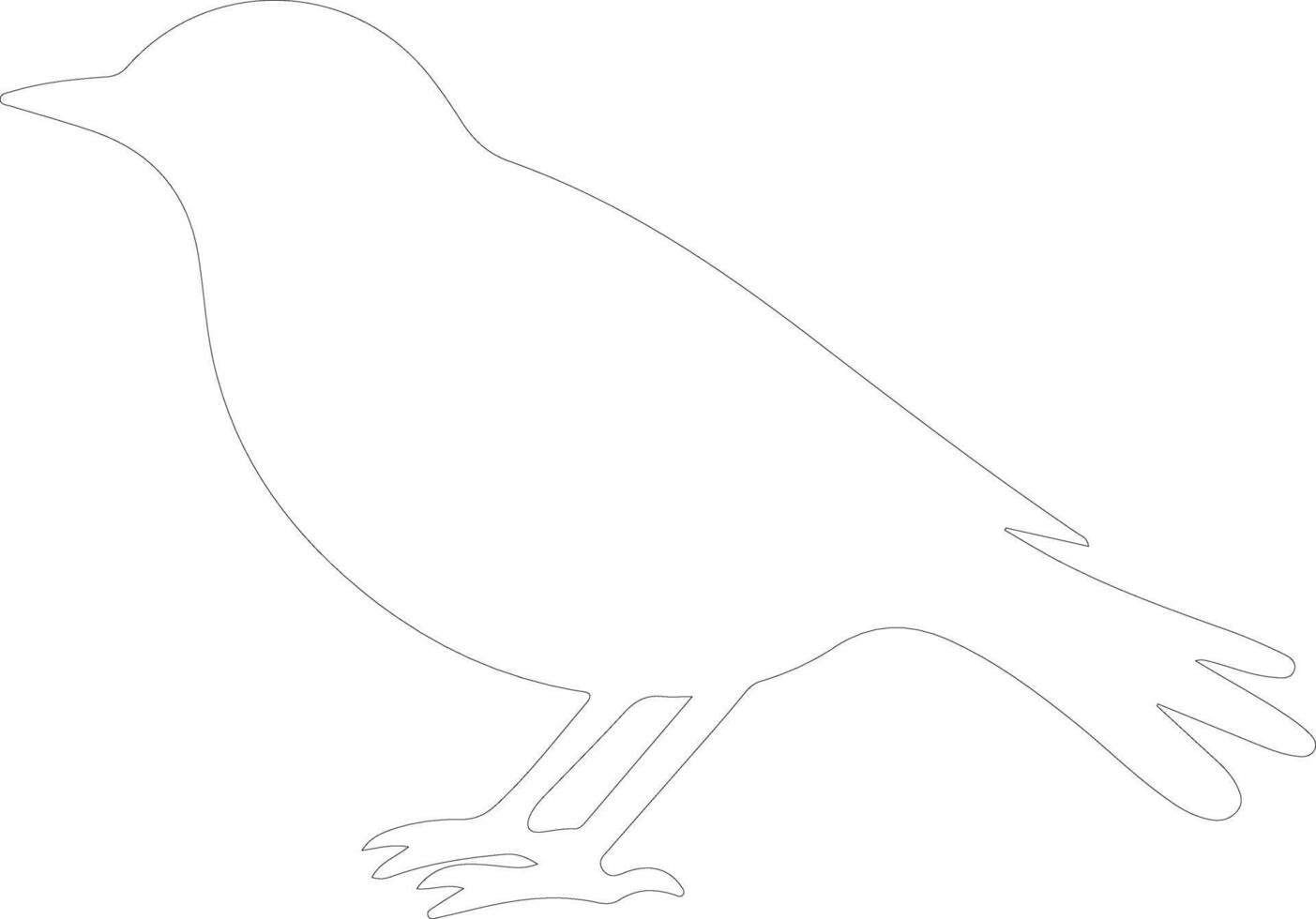 blackbird outline silhouette vector