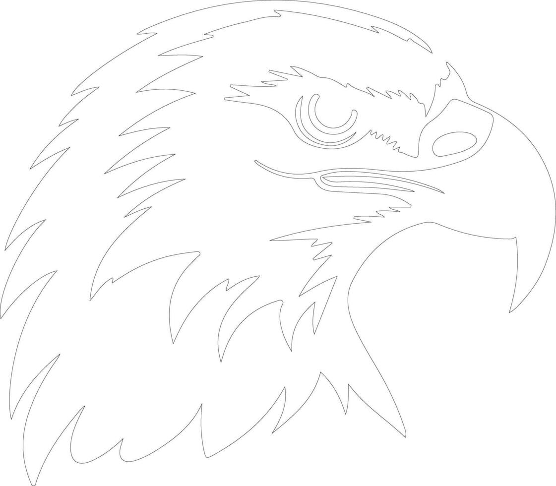 bald eagle  outline silhouette vector