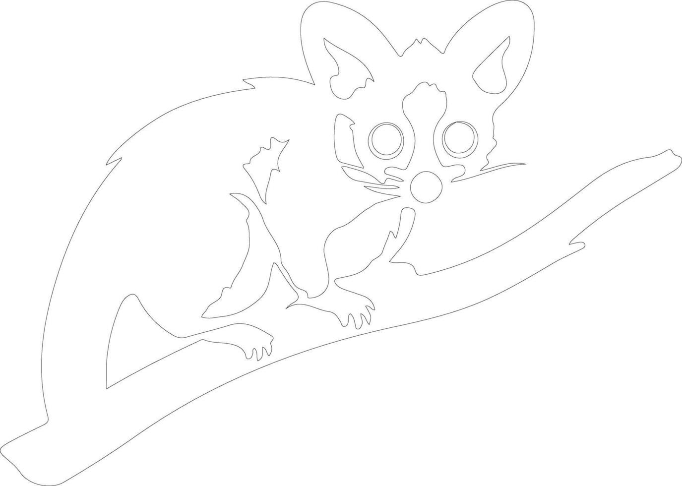 sugar glider    outline silhouette vector