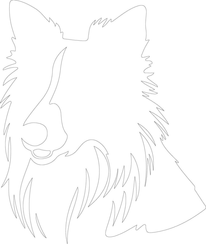 Collie  outline silhouette vector