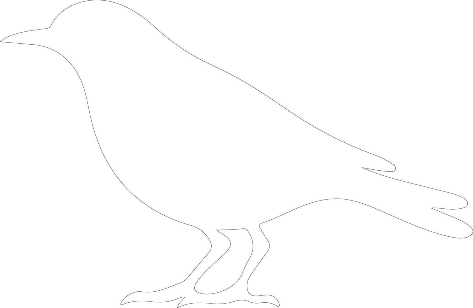 blackbird  outline silhouette vector