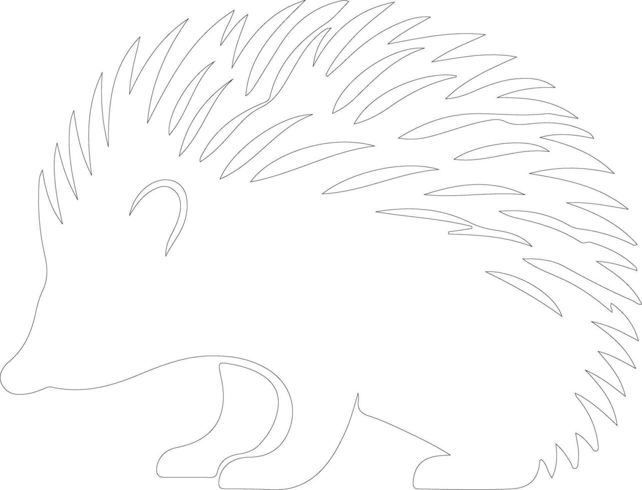 echidna outline silhouette vector