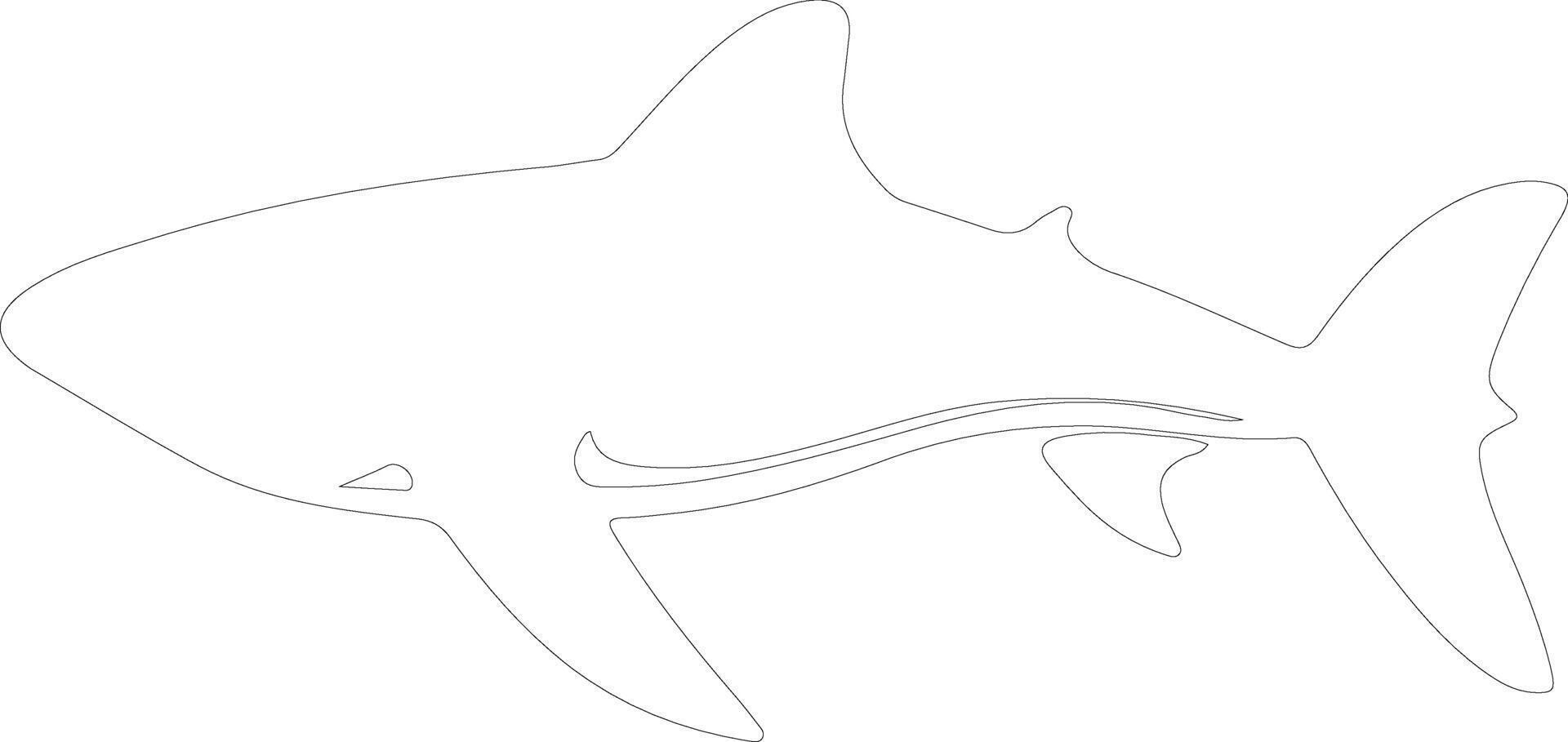 whale shark  outline silhouette vector
