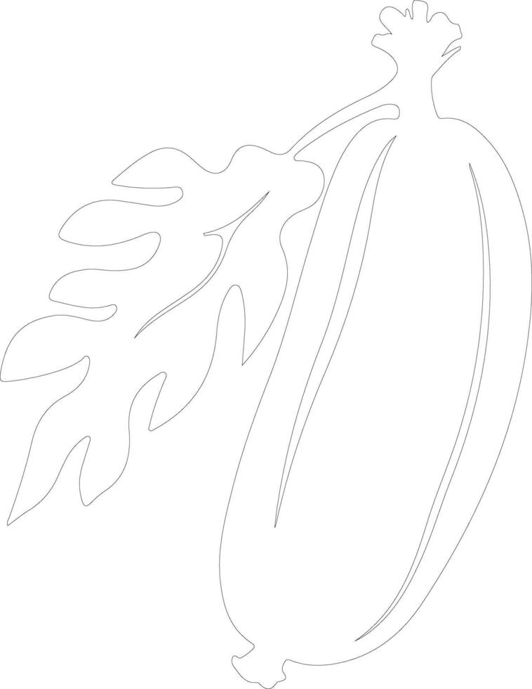 papaya  outline silhouette vector