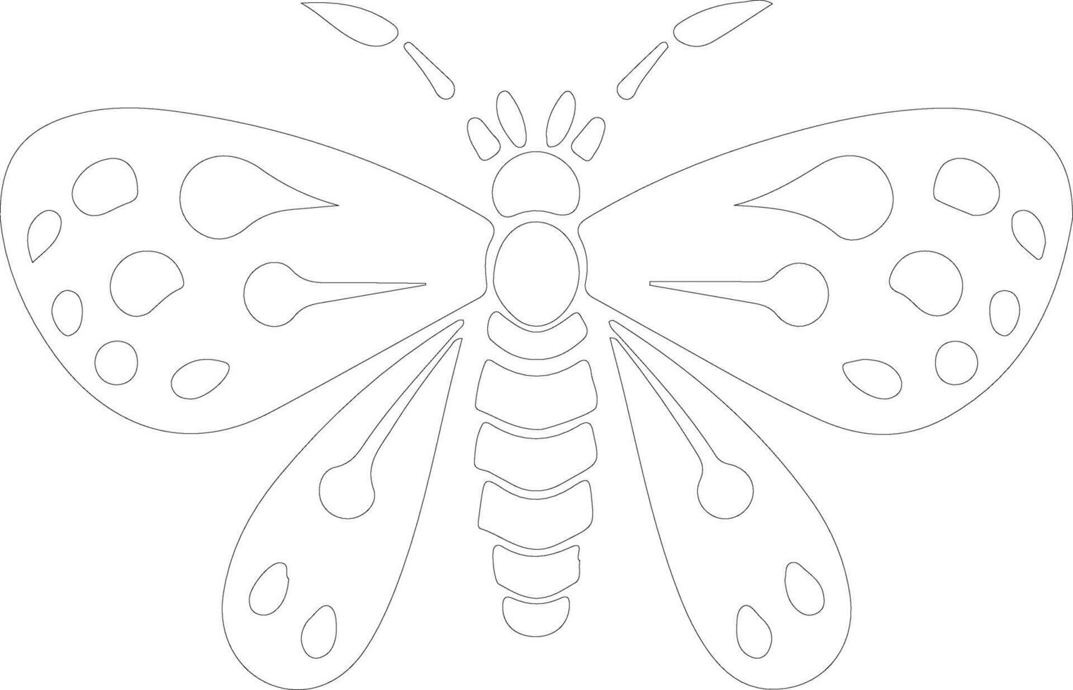 jumping bean moth  outline silhouette vector