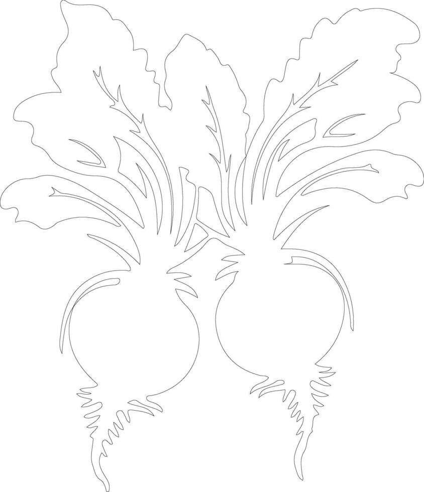 beets  outline silhouette vector