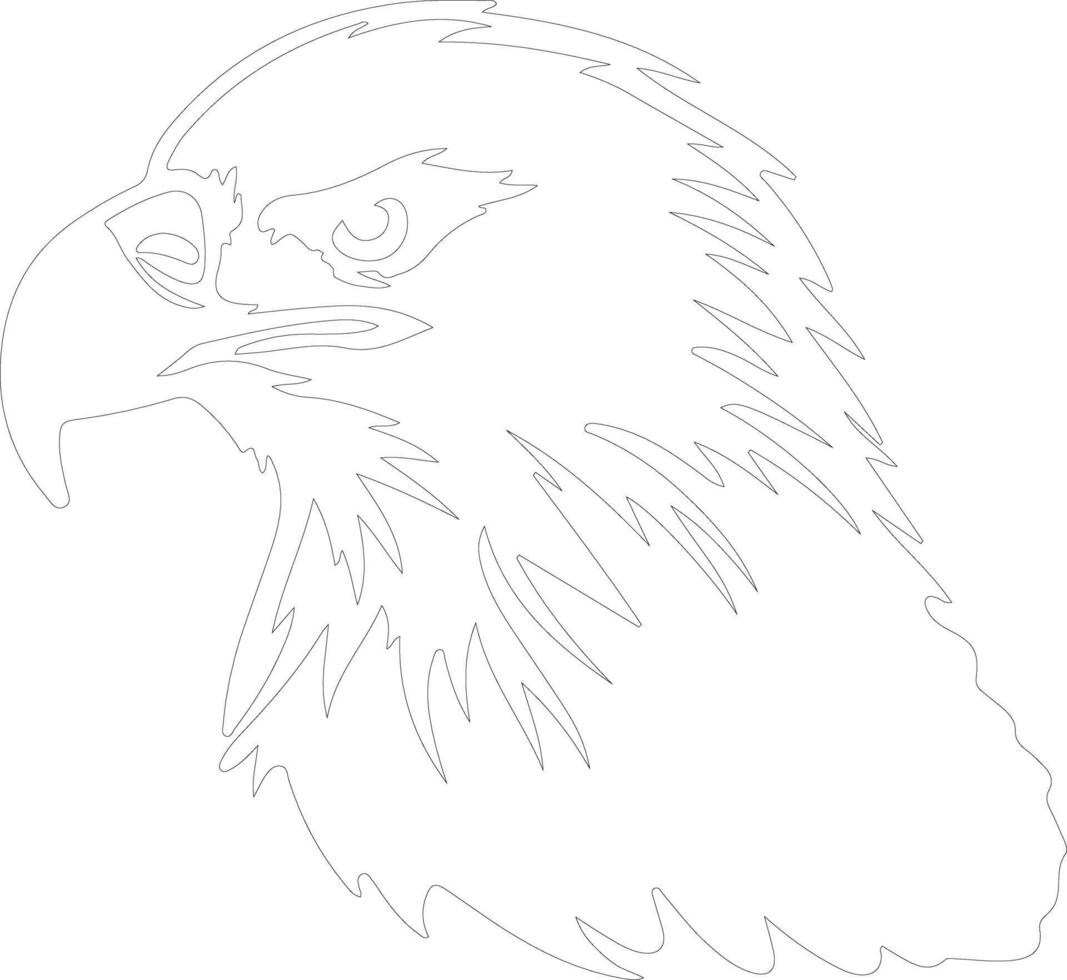 bald eagle  outline silhouette vector