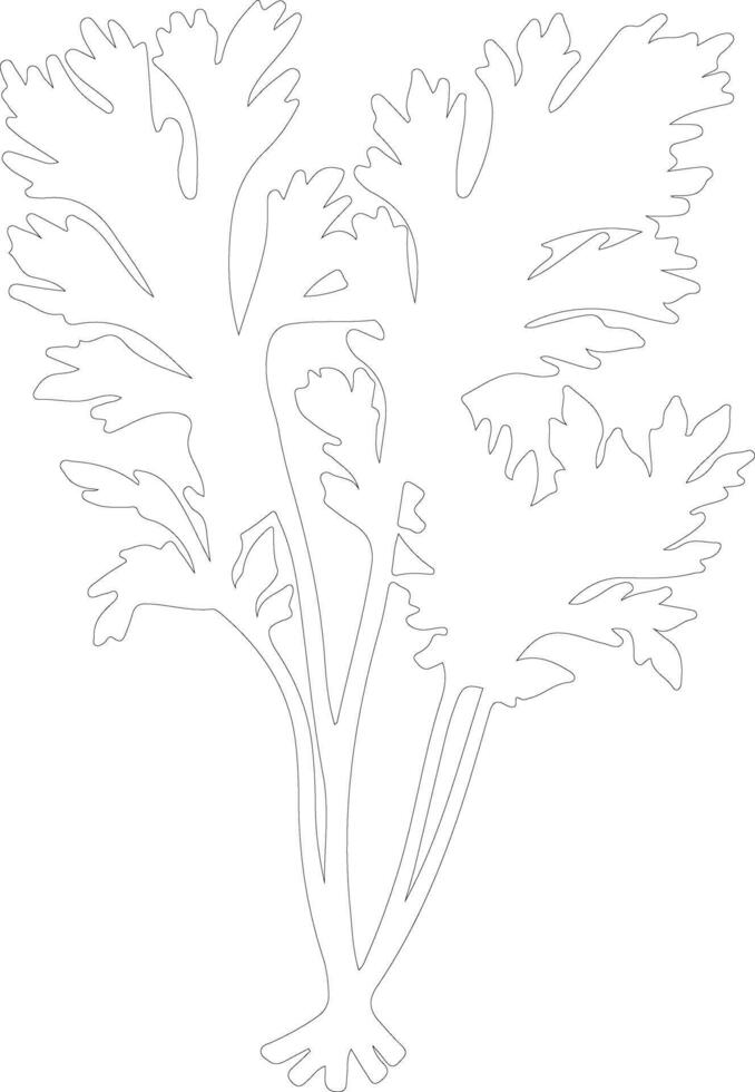 celery  outline silhouette vector