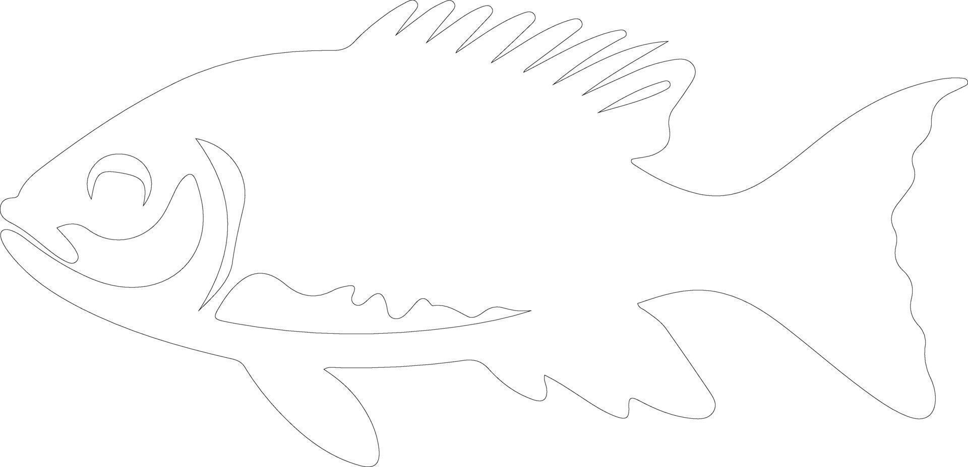 lanternfish  outline silhouette vector