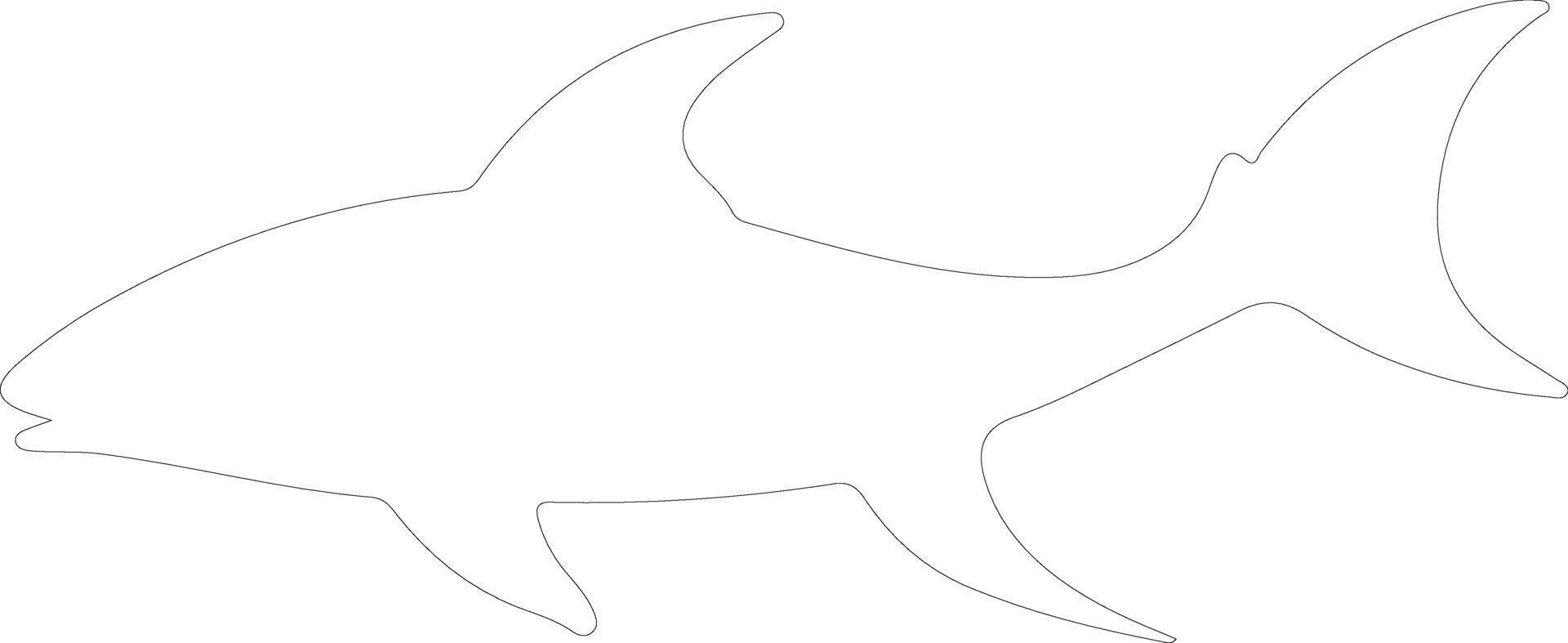 dogfish   outline silhouette vector