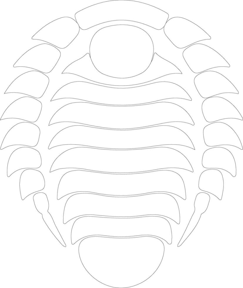 Trilobite   outline silhouette vector