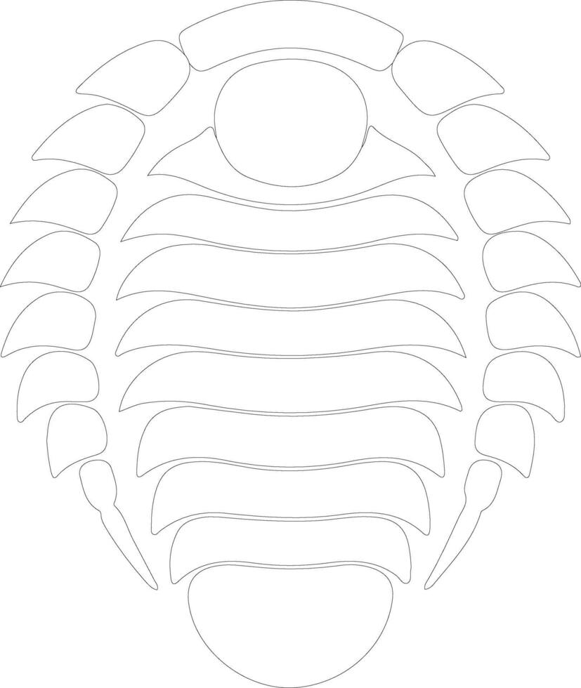 Trilobite   outline silhouette vector