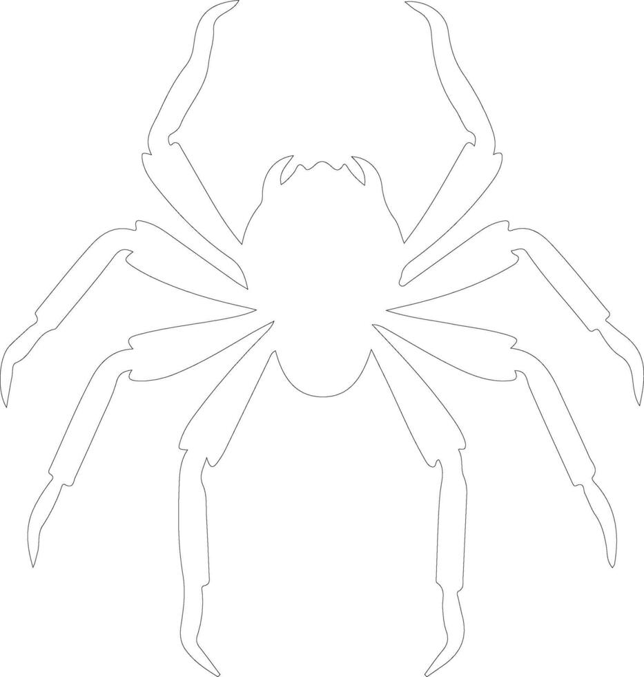 arachnid  outline silhouette vector