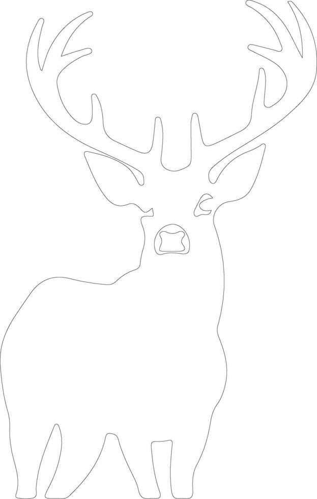 white-tailed deer  outline silhouette vector